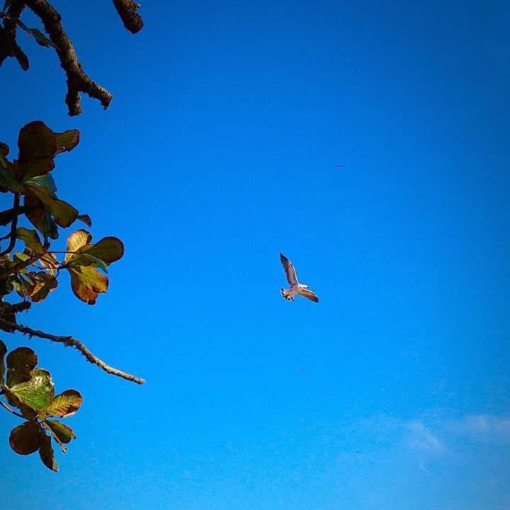 Pousada Dona Quiteria Penha  Esterno foto